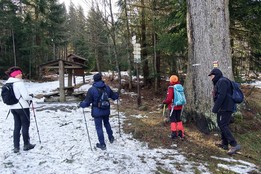 Pěší vycházka na Churáňov 