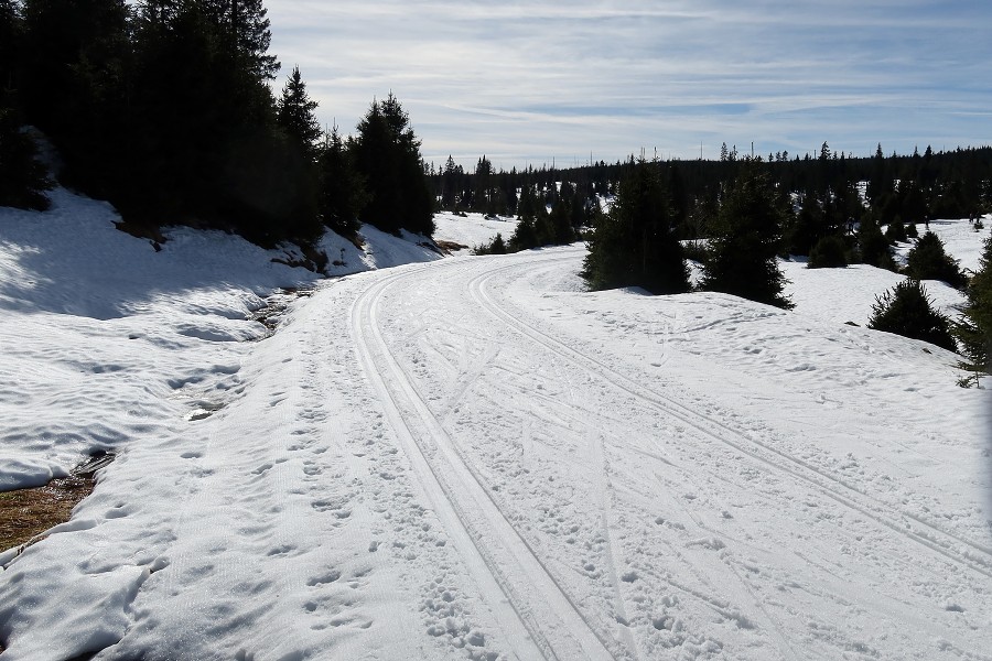 Běžecká stopa k Březníku 