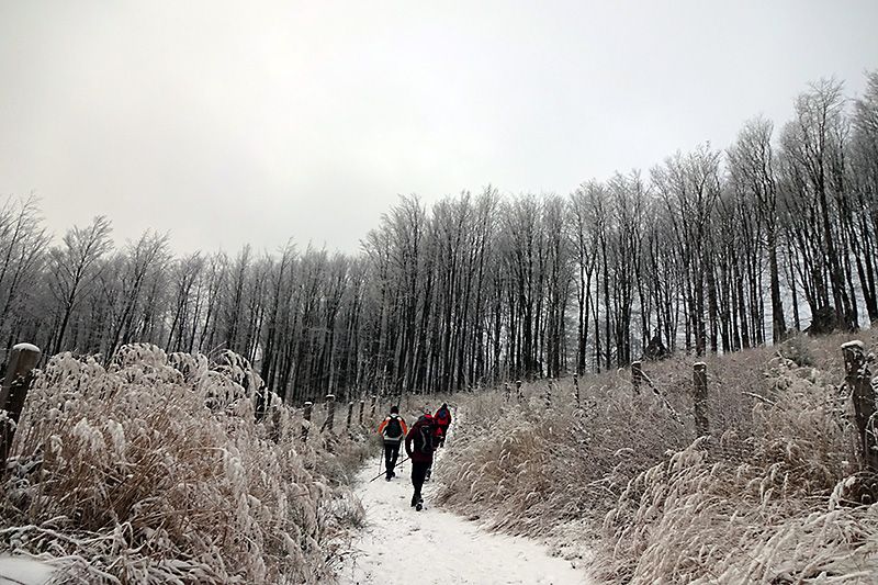 Silvestrovská vycházka