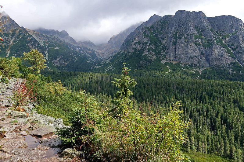 Vysoké Tatry z Vrbova