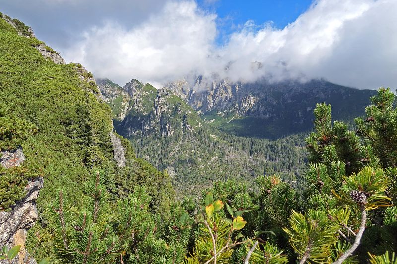 Vysoké Tatry z Vrbova