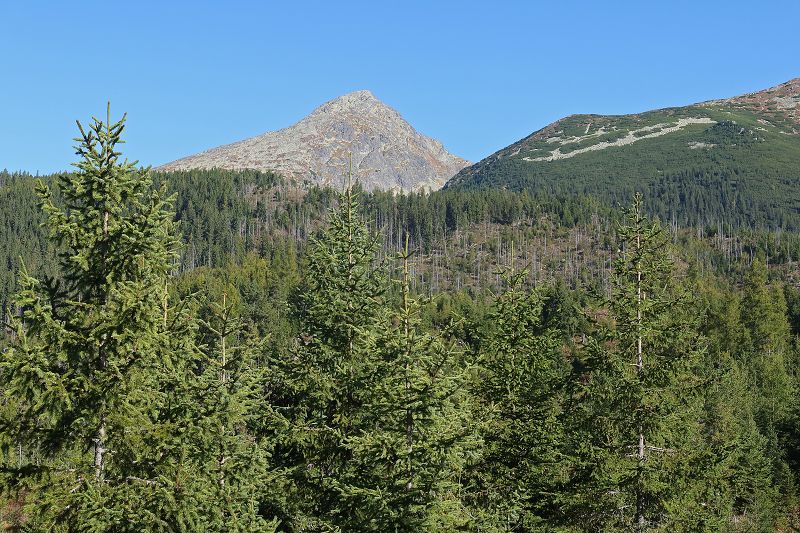 Vysoké Tatry z Vrbova