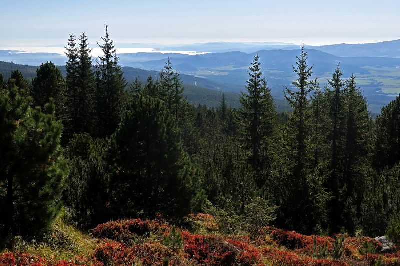 Vysoké Tatry z Vrbova
